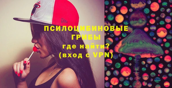 бошки Балахна
