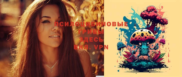бошки Балахна